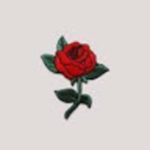 Meet your Posher, Maxine